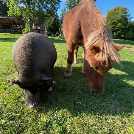 Lodge Ranczo Panderossa *