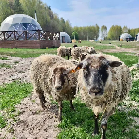 Ranczo Panderossa Szczecinek