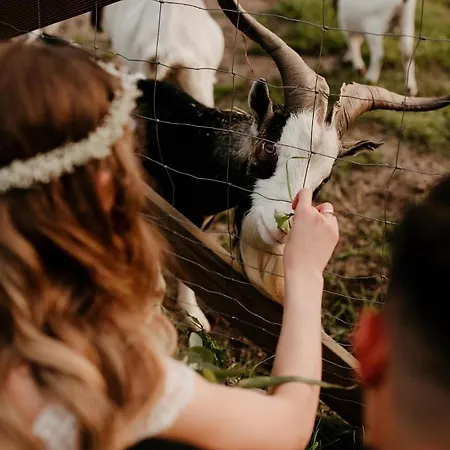 Hytte Ranczo Panderossa