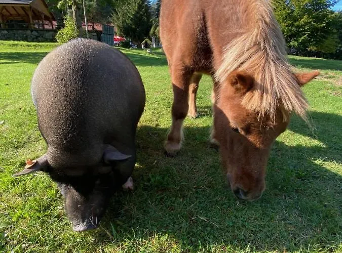 Gerendaház Ranczo Panderossa *