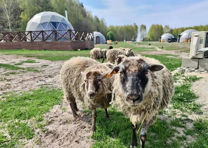 Ranczo Panderossa Щецинек