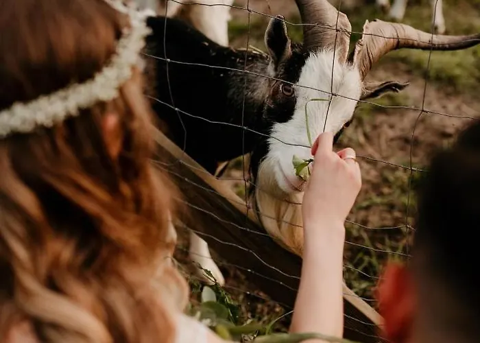 Gerendaház Ranczo Panderossa